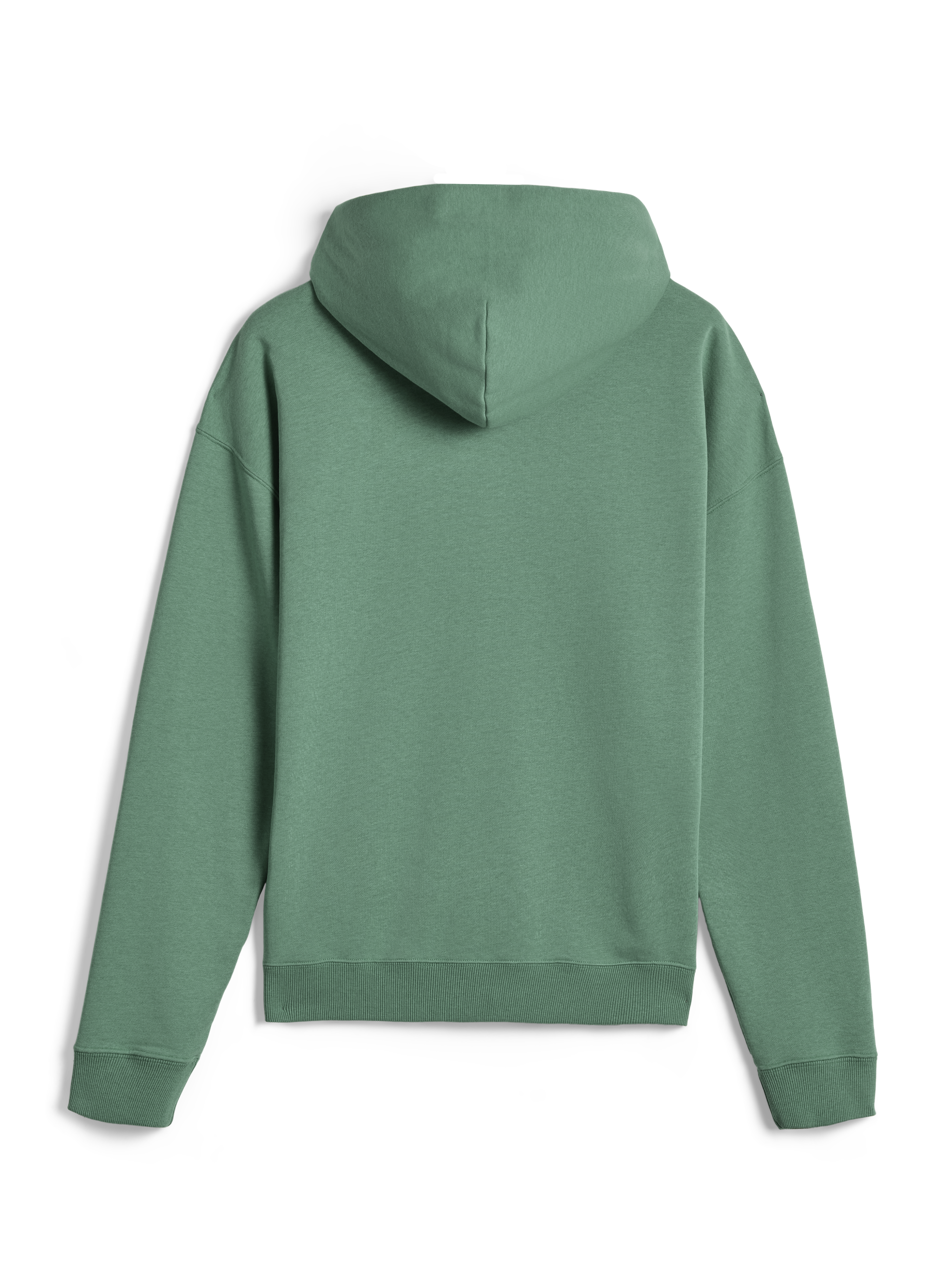 Alpinestars Essentials Ageless Hoodie, lässige Streetwear, Kaktusgrün, Rückansicht, langärmliger Kapuzenpullover mit gerippten Bündchen und Saum, klares minimalistisches Design