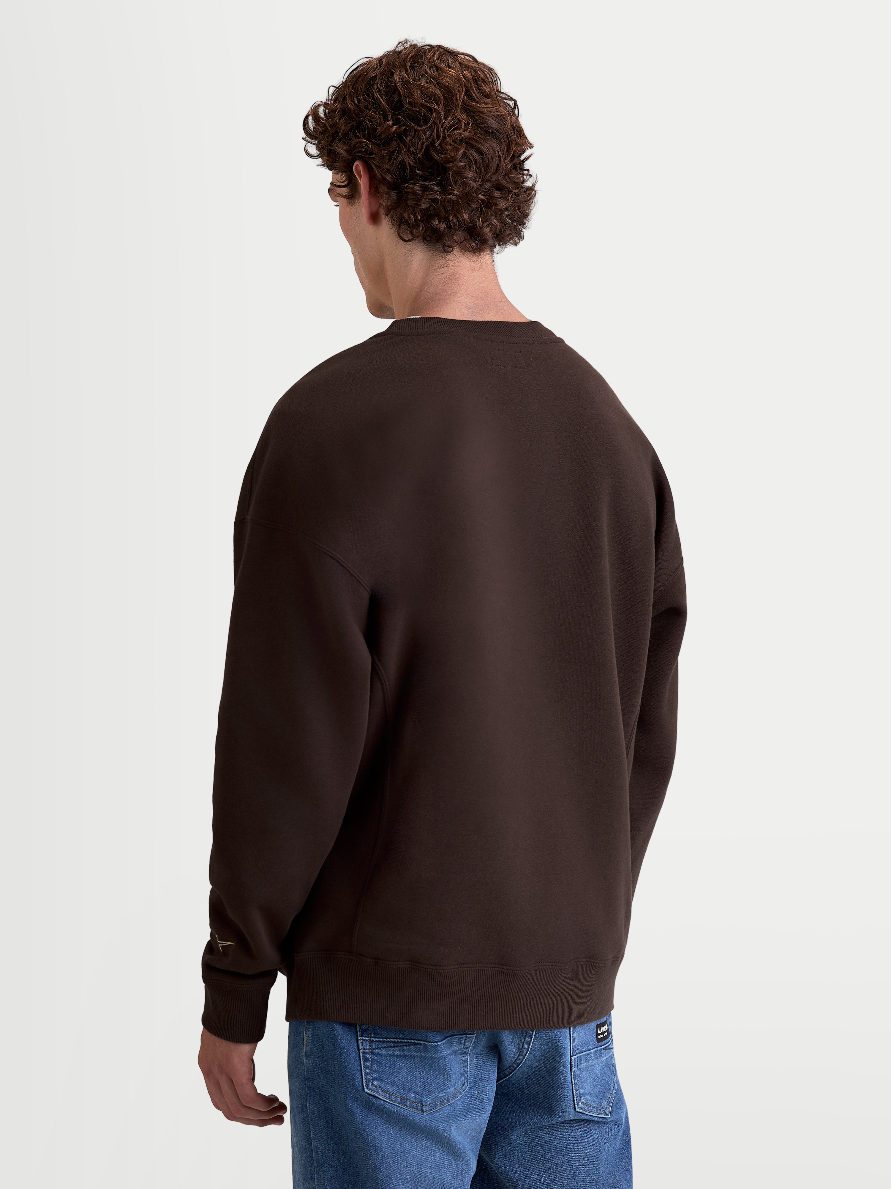 Alpinestars Guise Oversized Crew, Sportswear-Fleece-Pullover, Braun, Unisex-Lifestyle-Rundhalspullover, Rückansicht am Modell, Oversized-Passform, Mischung aus hochwertiger Baumwolle und recyceltem Polyester.