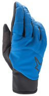 Denali 2 Gloves