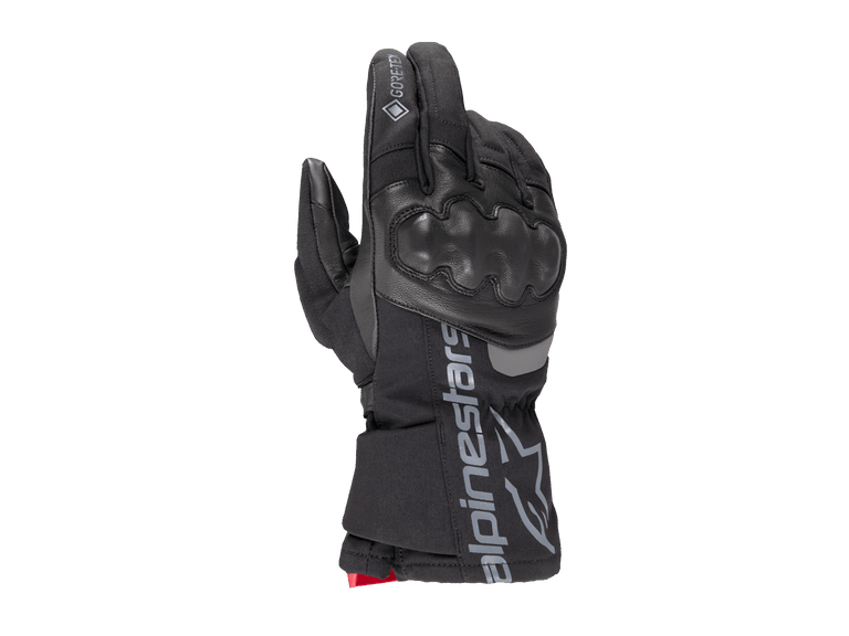 Wt-4 Gore-Tex Insulated Glove