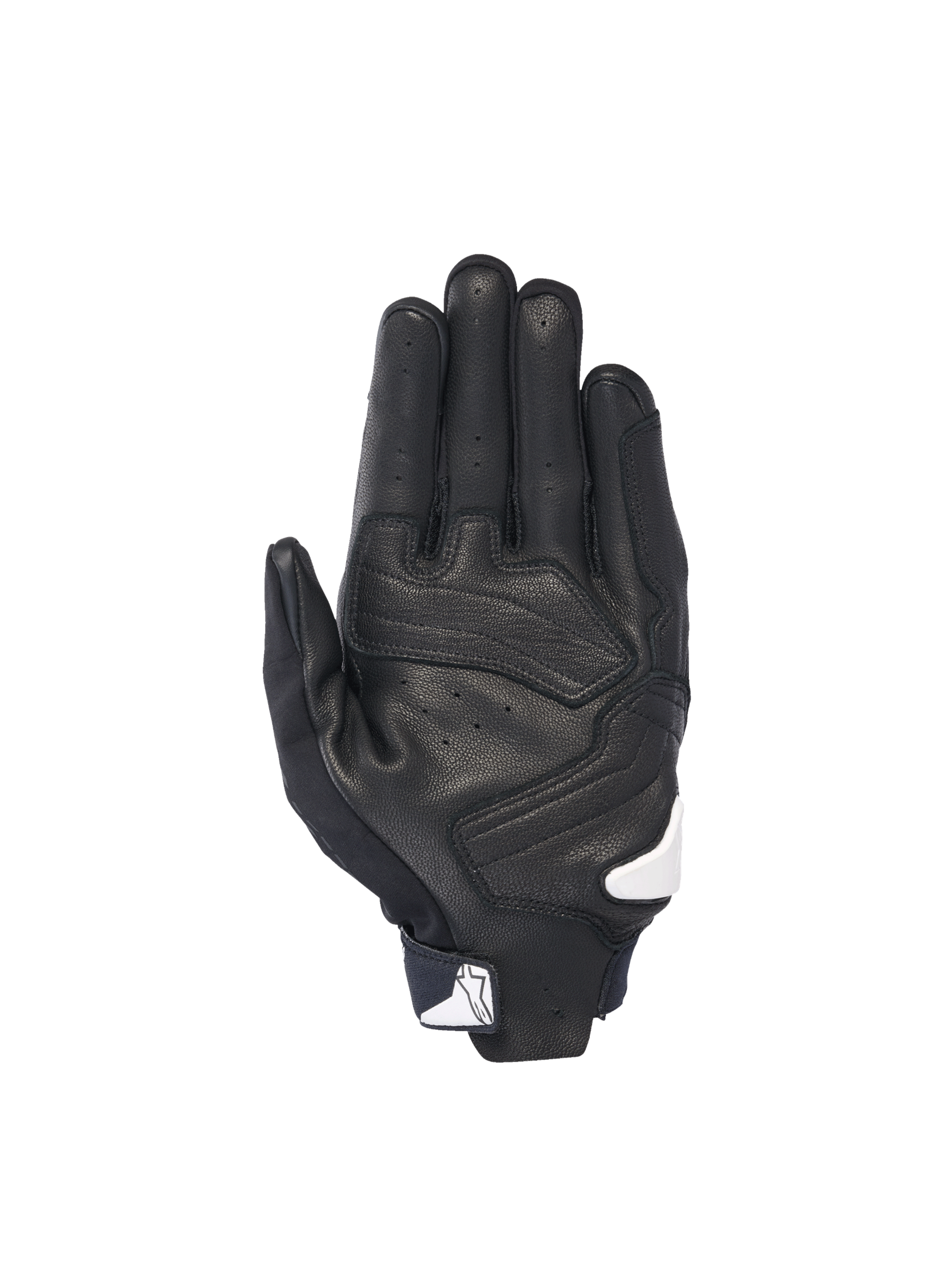 L / White Black